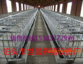 河北养猪设备厂家批发 自动化猪围栏定位栏与烘炉的全方位解析